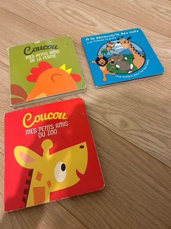 Lot de 3 livres à partir de 12 mois