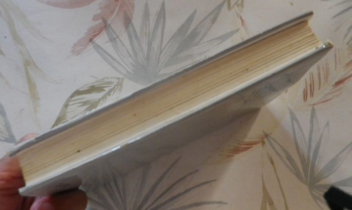 La planète des victimes par Michel Goeldlin Ed. France Loisirs - photo numéro 4