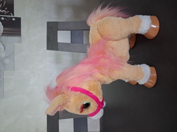 Cannelle mon poney coquet et ses accessoires - photo numéro 5