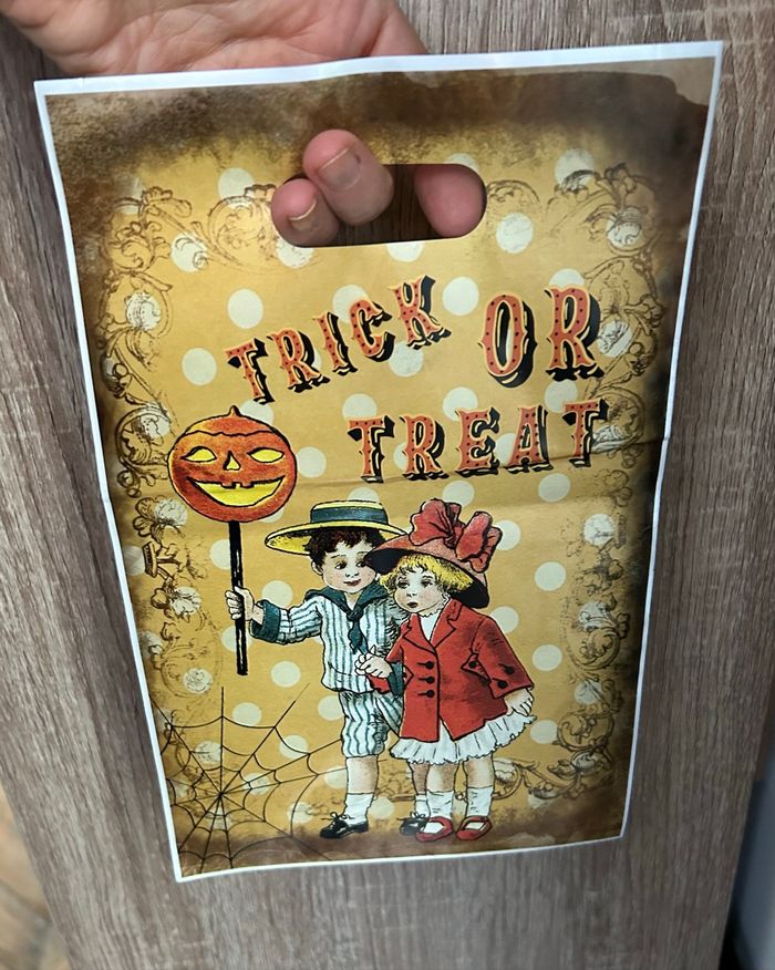 Lot de 10 sachets plastiques Halloween – motifs enfants années 1930 - photo numéro 3