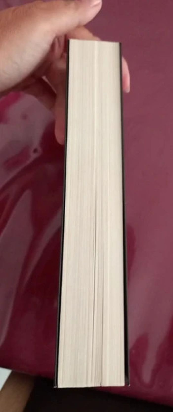 Livre Thriller la fille du train de Paula Hawkins - photo numéro 2