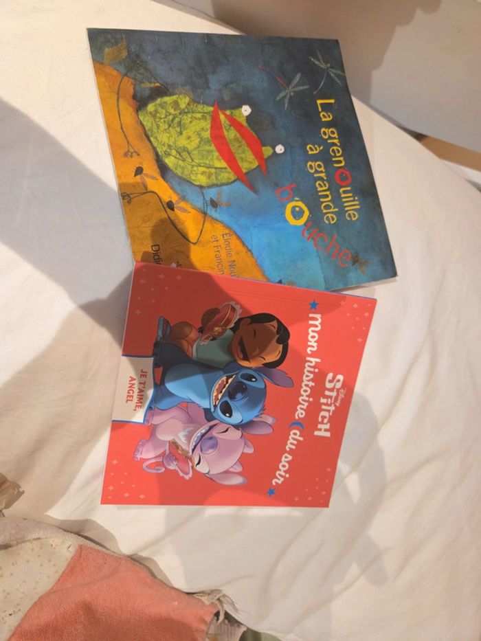 Lot de 2 livres enfant