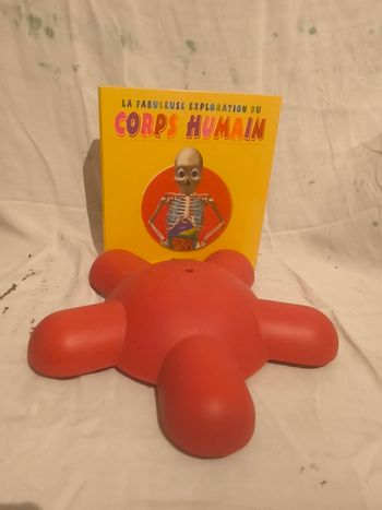 Construire le corps humain