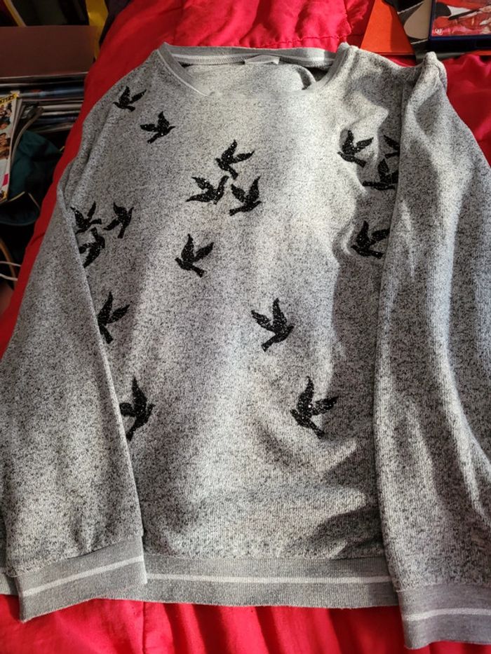 Pull Oiseaux Cache Cache