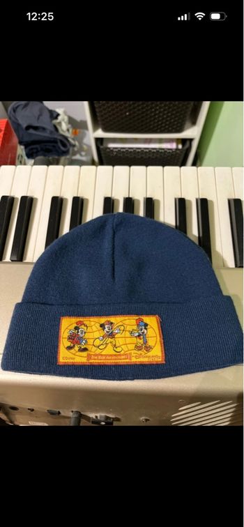 Bonnet de Disneyland enfant 