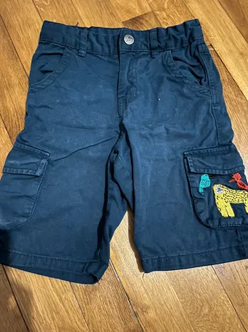 Short DPAM