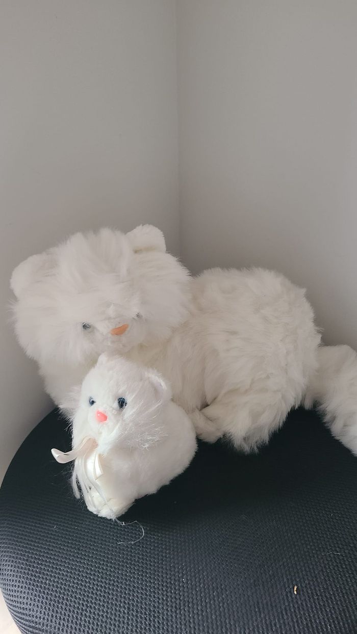 doudou chat - photo numéro 3