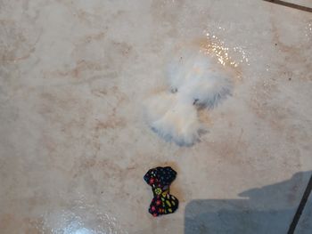 Pince a cheveux Bnosy créatrice 