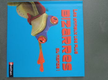 Les animaux les plus bizarres du monde