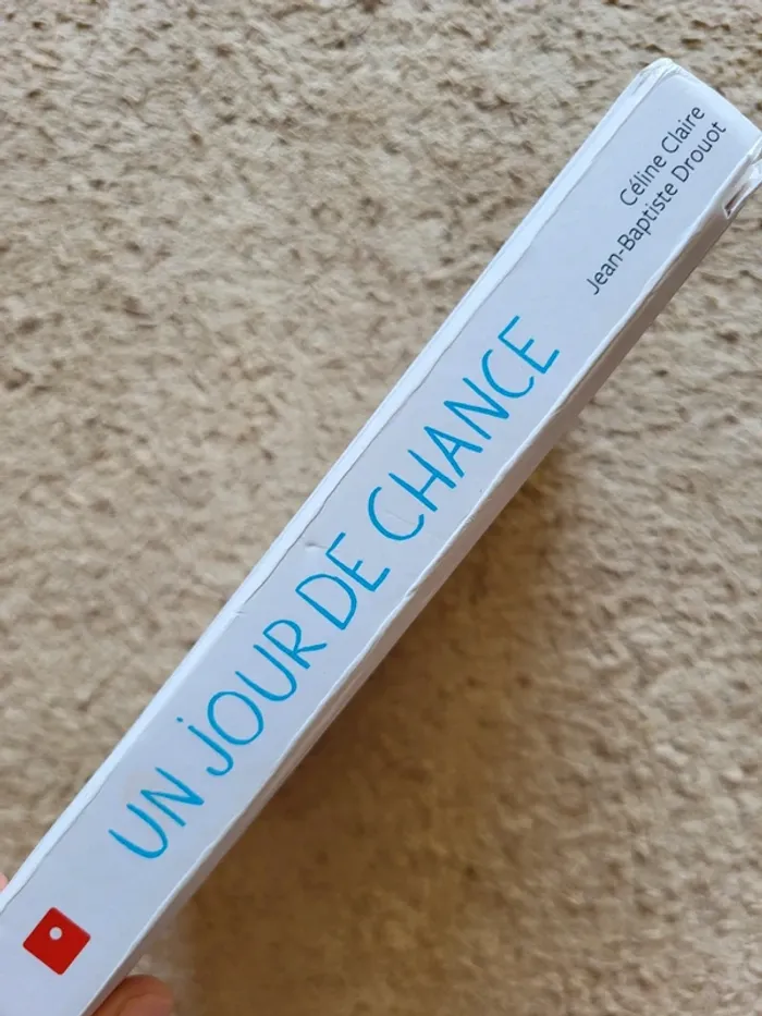 Livre enfant "Un jour de chance" de Céline Claire - photo numéro 4