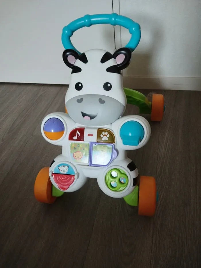 Trotteur zèbre - photo numéro 2