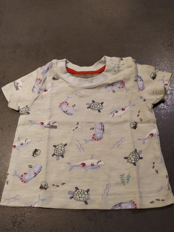 T-shirt manches courtes T62