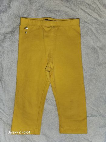 Legging court