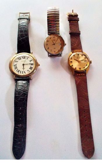 (31) Montres Mécaniques Collecteur