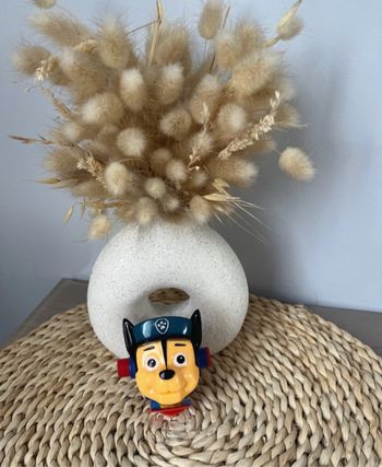 Montre pat patrouille / paw patrol