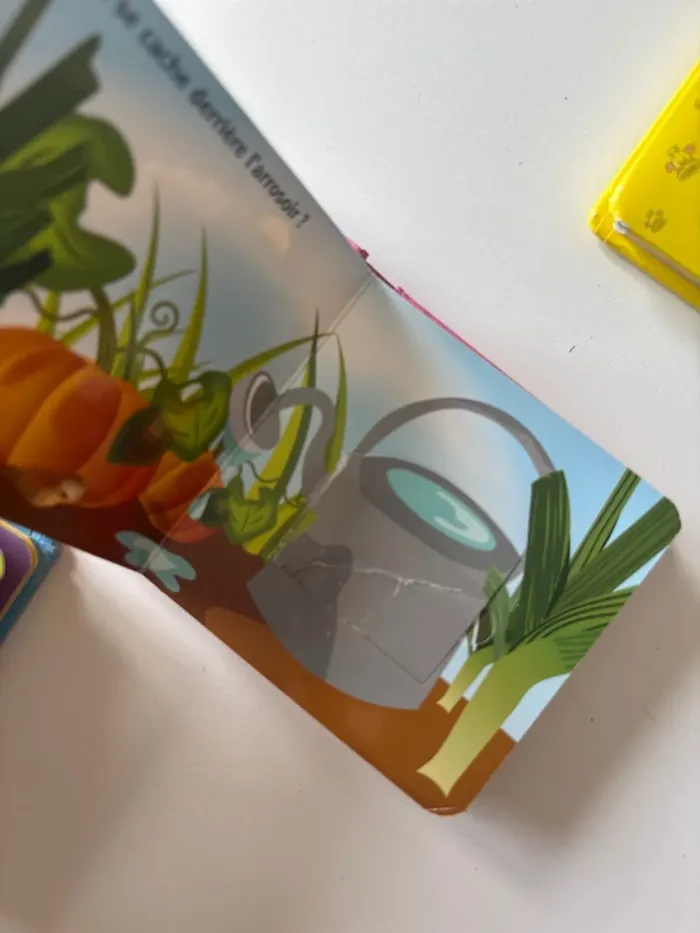 Livres à volets - photo numéro 6