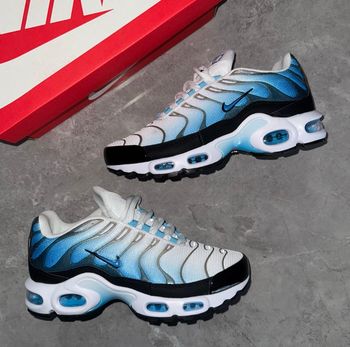 Nike tn bleu blanc 37