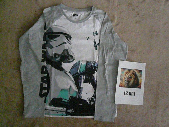 Lot de 2 tee-shirts 12 ans (n°4) - photo numéro 2