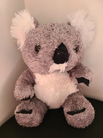 koala