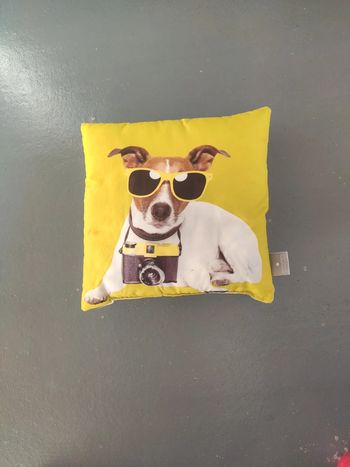 Coussin chien fluo enfant ado