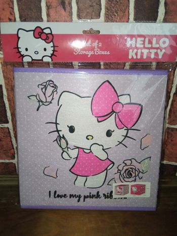 Lot de deux cubes de rangement rigide Hello Kitty