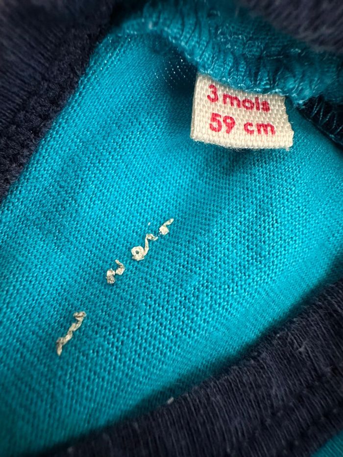 Pyj piranha - photo numéro 3