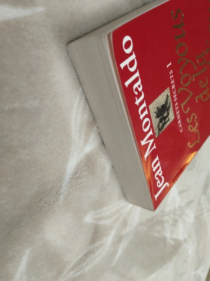 Les voyous de la république - photo numéro 6