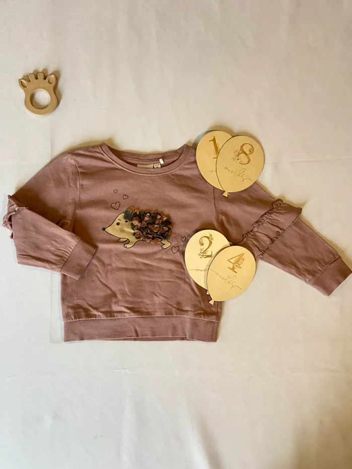 Pulls - 18-24 mois