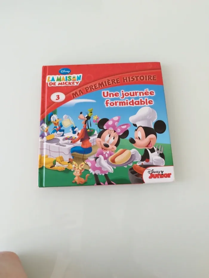 Livre mickey "une journée formidable"