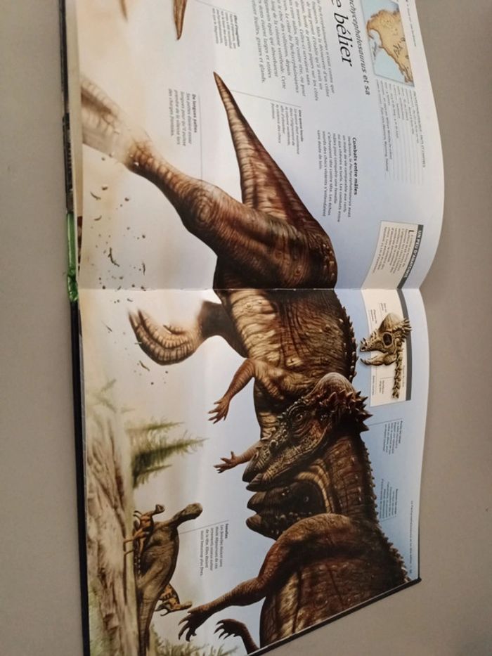 Les dinosaures à la loupe édition France loisirs - photo numéro 14