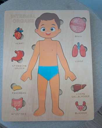 Puzzle encastrement parties corps humain + organes. Garcon