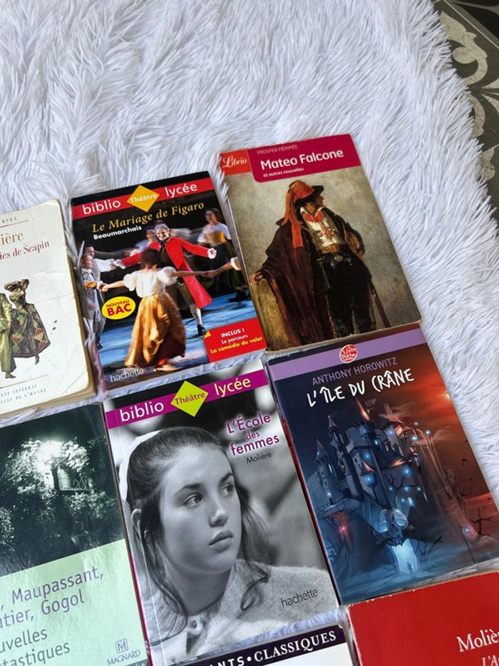 Livre au choix, littérature classique pour collège ou lycée - photo numéro 4