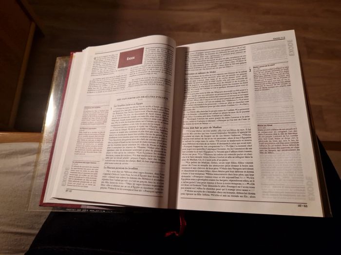 La bible expliquée 🫶 - photo numéro 6