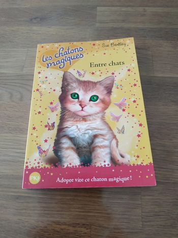 Les chatons magiques Entre chats volume 3