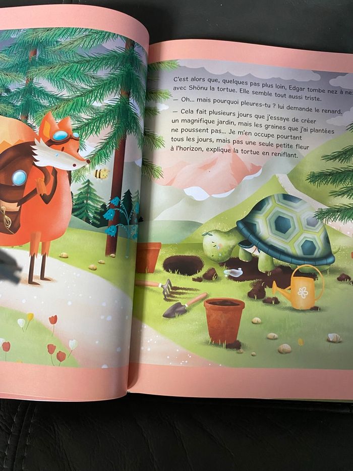 Edgar vers le sommet de la montagne neuf - photo numéro 3