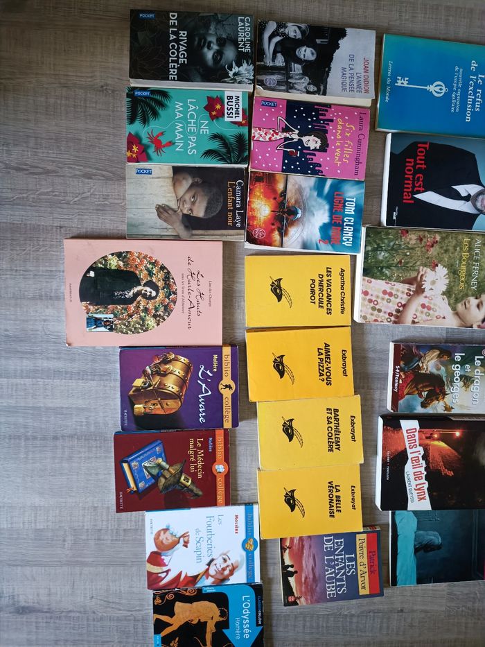 Lot de 27 livres - photo numéro 3