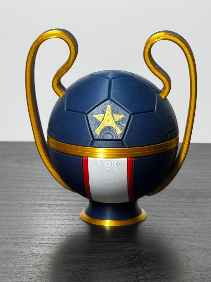 Ballon LDC PSG - photo numéro 3