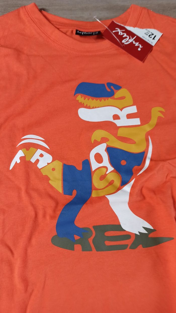 T-shirt dinosaures influx neuf 12 ans garçon - photo numéro 2