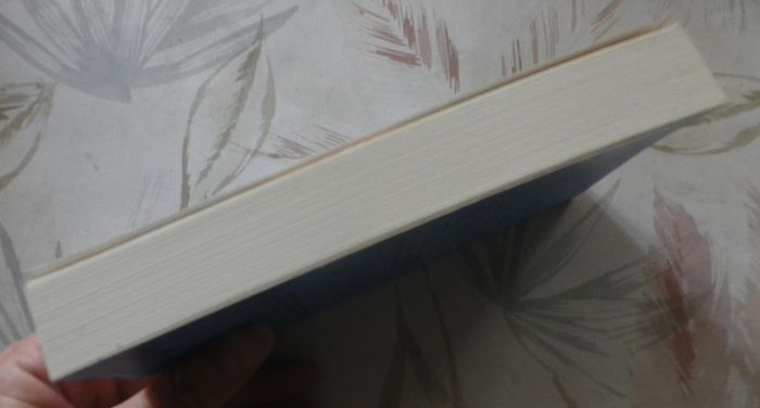 Matins blêmes à Long Islan de Delia Ephron Ed. Piment France Loisirs - photo numéro 4