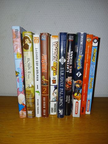 Lot manga