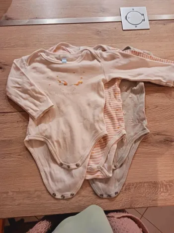 Lot 3 bodies