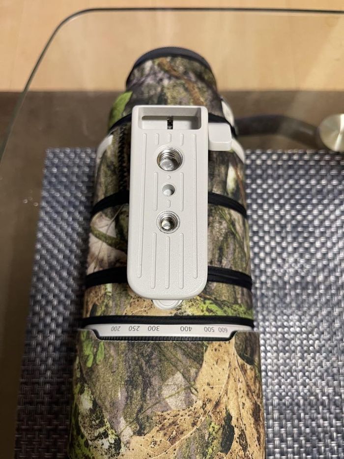 Beauté SONY FE 200 600mm F5.6 6.3 G - photo numéro 4