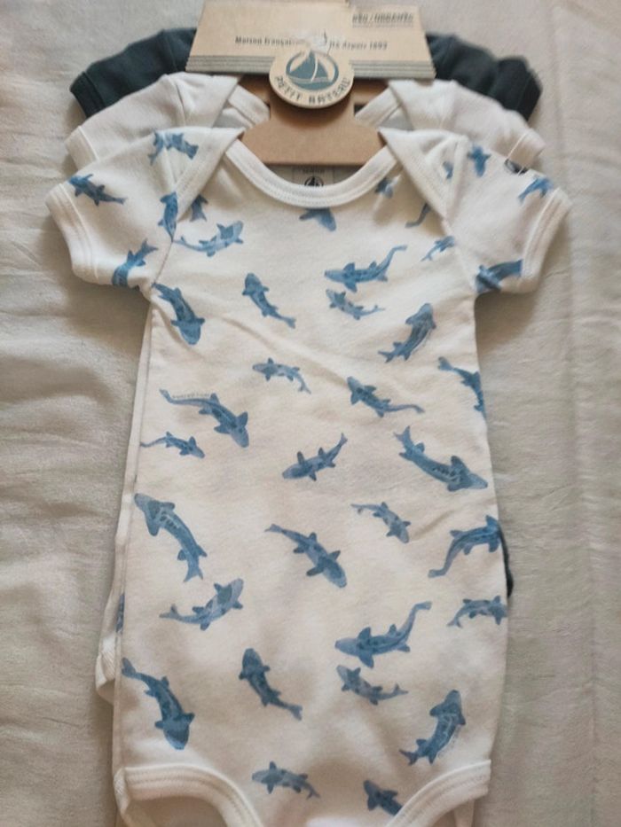 Lot de 3 body manches courtes petit bateau bio 6 mois