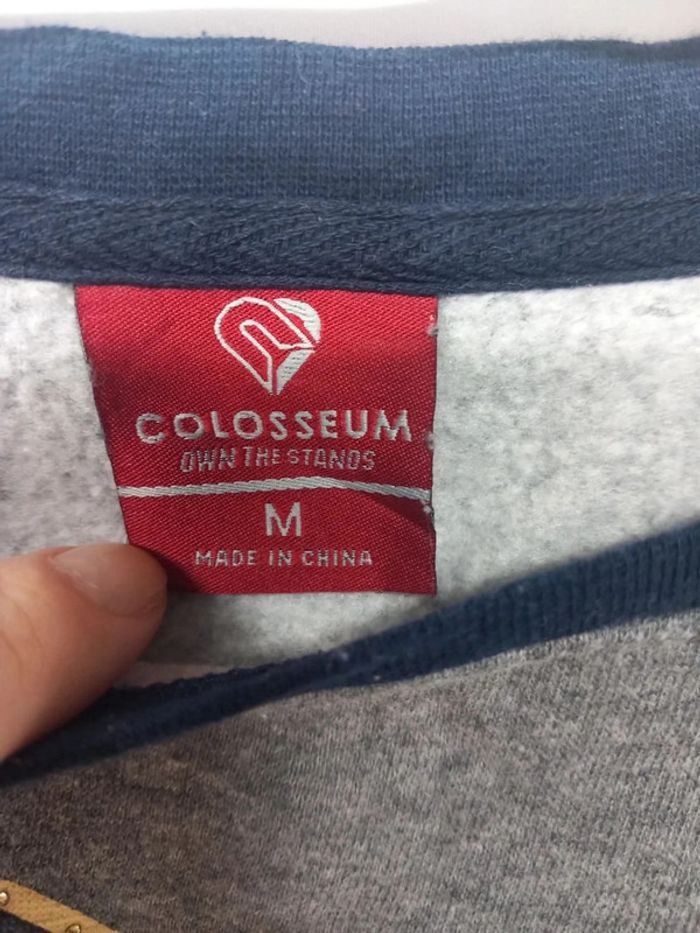 Pull/Sweat Vintage Colosseum Pitt Panthère - photo numéro 5