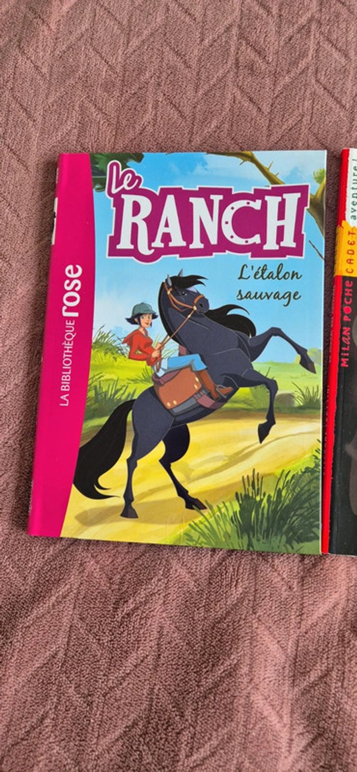 Lot livres chevaux - photo numéro 4