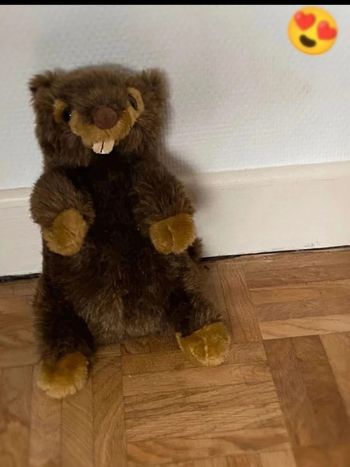 Peluche