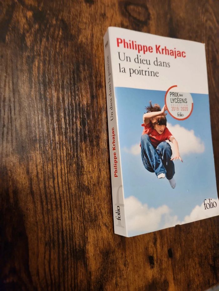 Livre : un dieu dans la poitrine - photo numéro 2