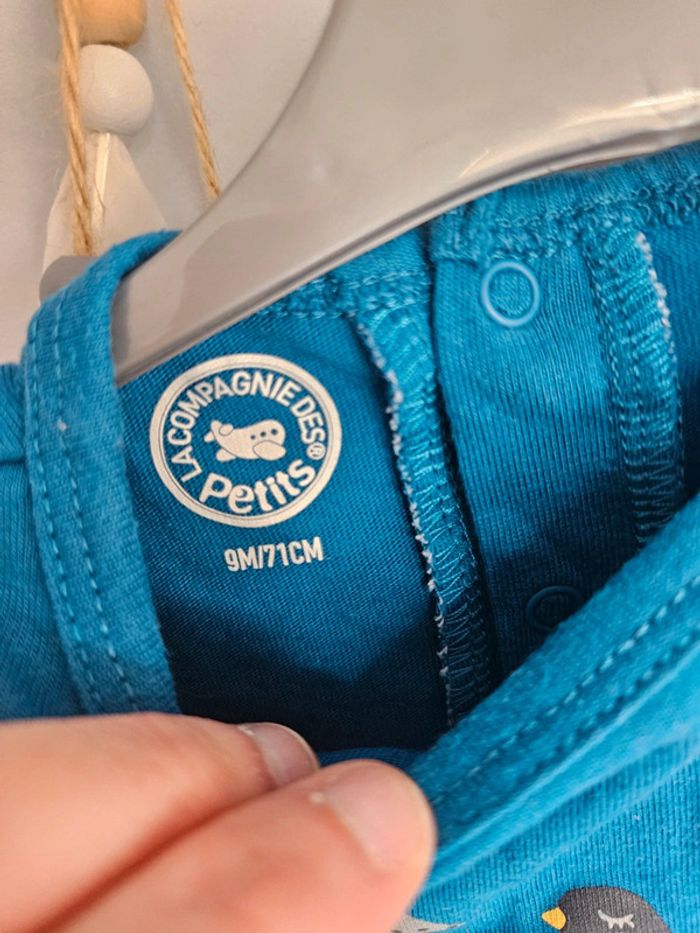 Bodie 9 mois - photo numéro 3