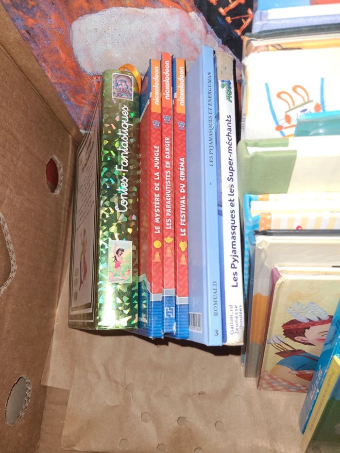 Gros lots de livre - photo numéro 3