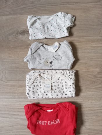Lot 4 bodies été